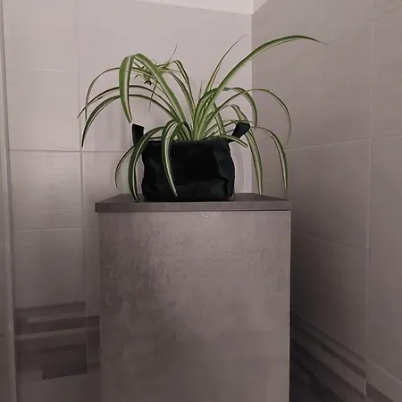 Piazza Angioina ベッド・アンド・ブレックファスト 3*