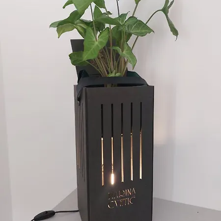 Piazza Angioina ベッド・アンド・ブレックファスト