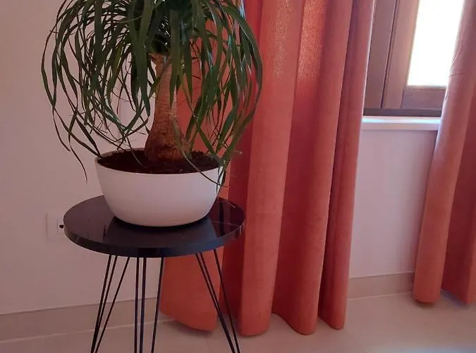 Piazza Angioina 拉奎拉