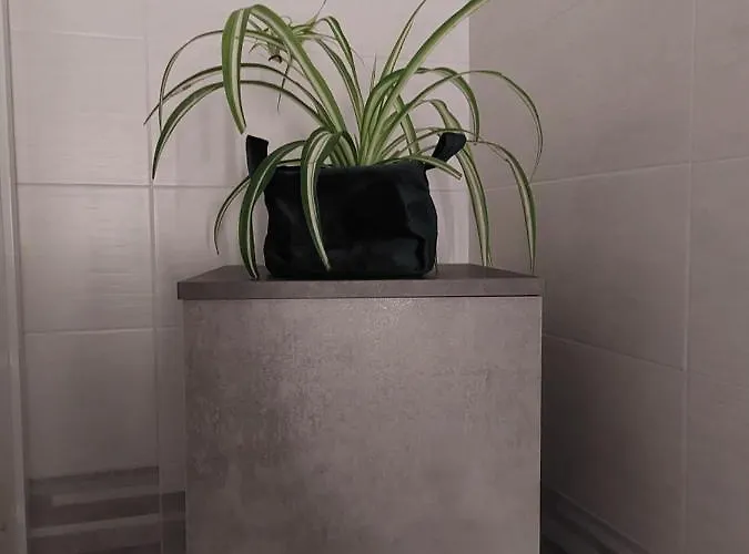 Piazza Angioina Bed & Breakfast 3*