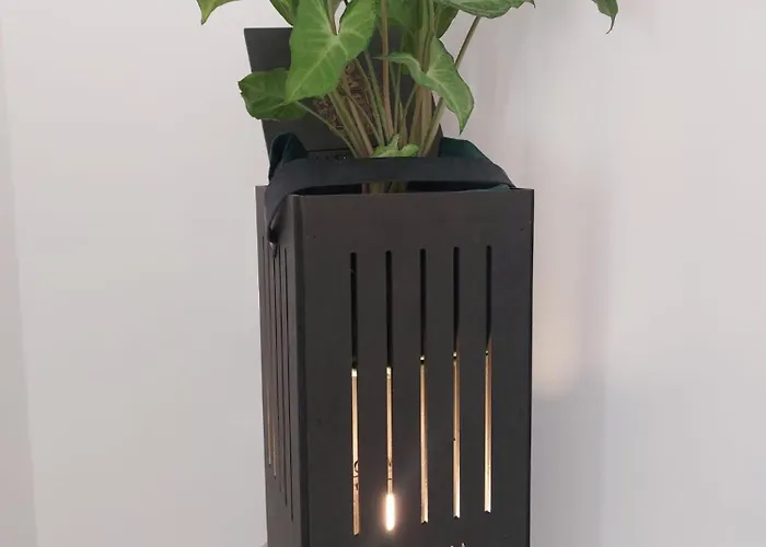 Piazza Angioina 住宿加早餐酒店